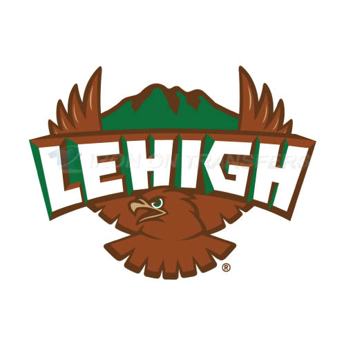 Lehigh Mountain Hawks Logo T-shirts Iron On Transfers N4785 - Click Image to Close